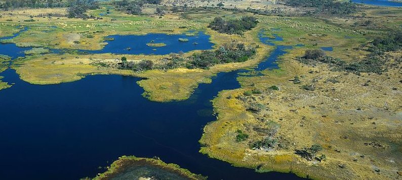 Okavango delta Botswana | Mokoro and boating safaris