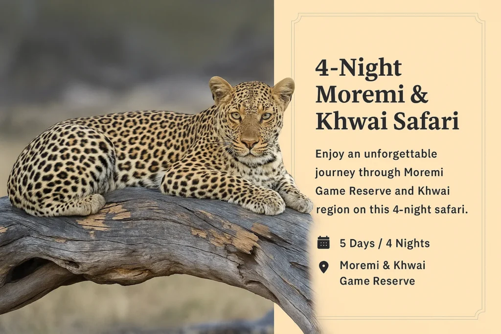 4-night Moremi and Khwai safari package featuring game drives, night drives, and camping in northern Botswana.