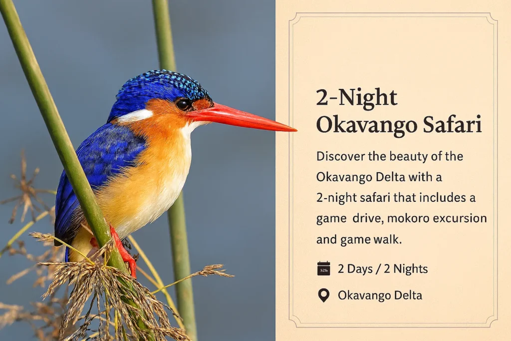 Affordable 2-night Okavango Delta safari package with mokoro excursion and riverside camping – Shangana Safaris.