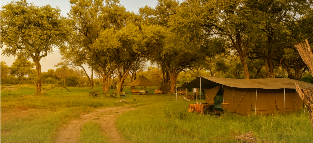 Khwai Meru safari camp with classic canvas tents set beneath tall riverine trees, outdoor dining area, and a winding sandy path through lush green grass in the Okavango Delta.